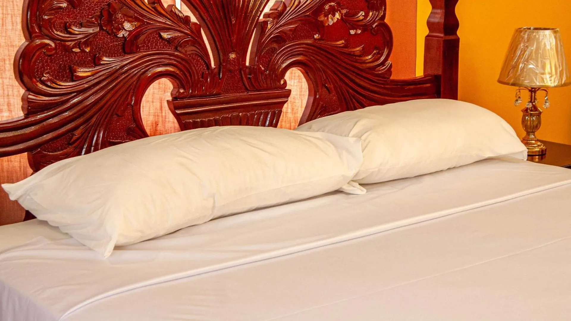 Veronica Homestay Lucea Jamaica